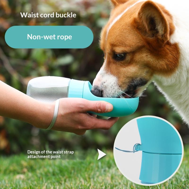 500ml 대형견 물병 휴대용 물통 소형견 중형견 고양 - Camping Cooking Bowl 리뷰 및 가격
